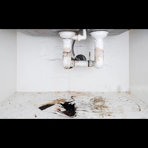 mold-damage-from-leak-under-kitchen-sink-1600x970 (1)
